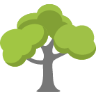 De Pere Tree Removal