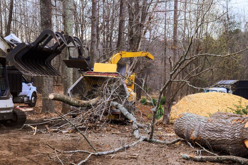 Tree Removal Equipment in Use